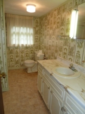 1972 Angle Plantation Road Rocky Mount, VA 24151 - Photo 23 of 33 Lower Level Bathroom