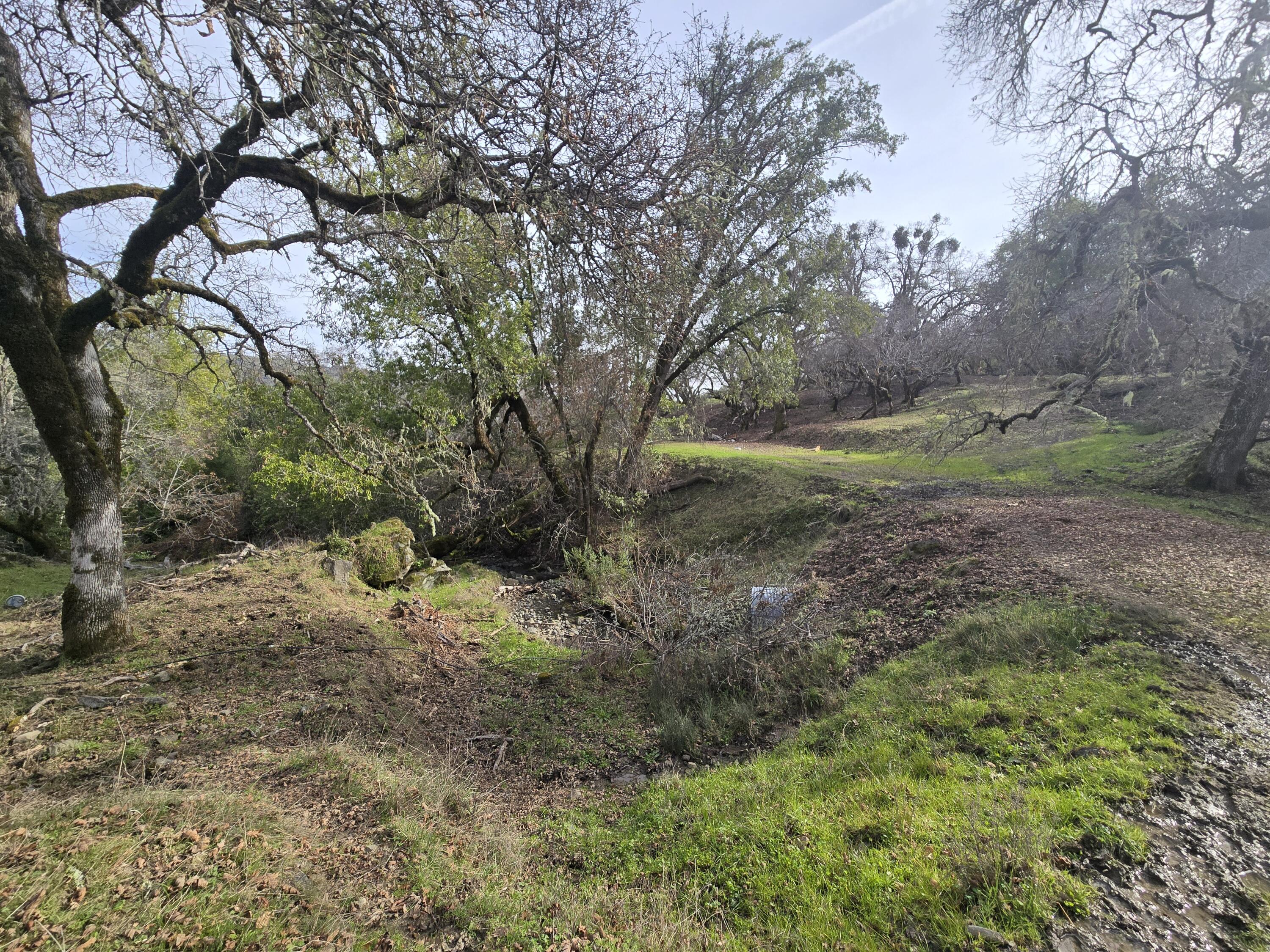 3461 Raff Crk Road Garberville, CA 95542 - Photo 29 of 32