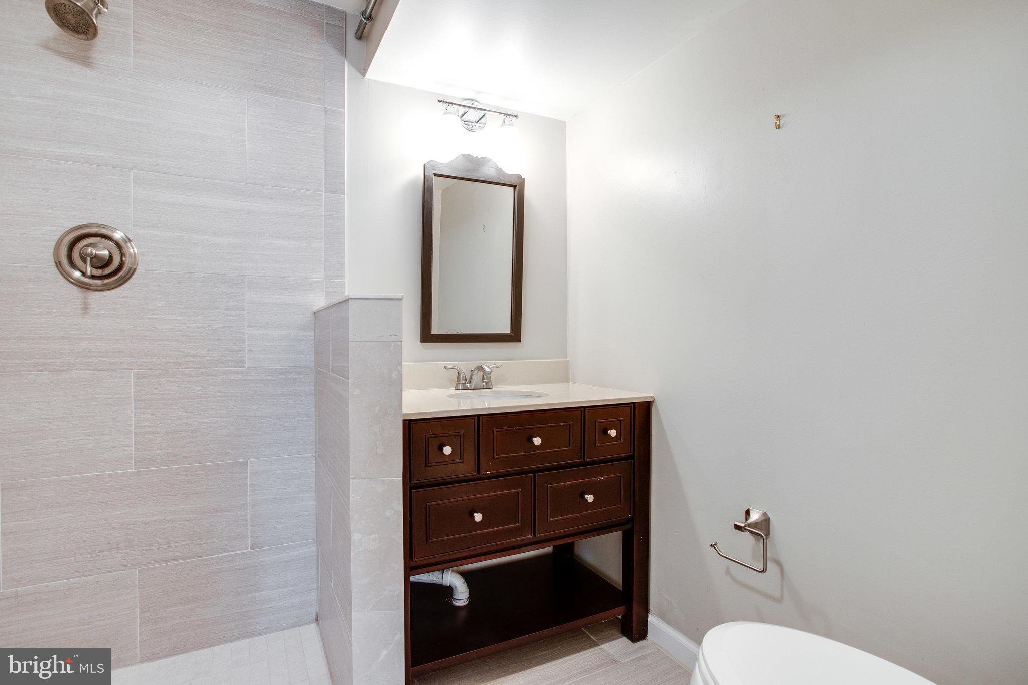 8500 Brook Road McLean, VA 22102 - Photo 52 of 59 a bathroom with a toilet a sink and mirror