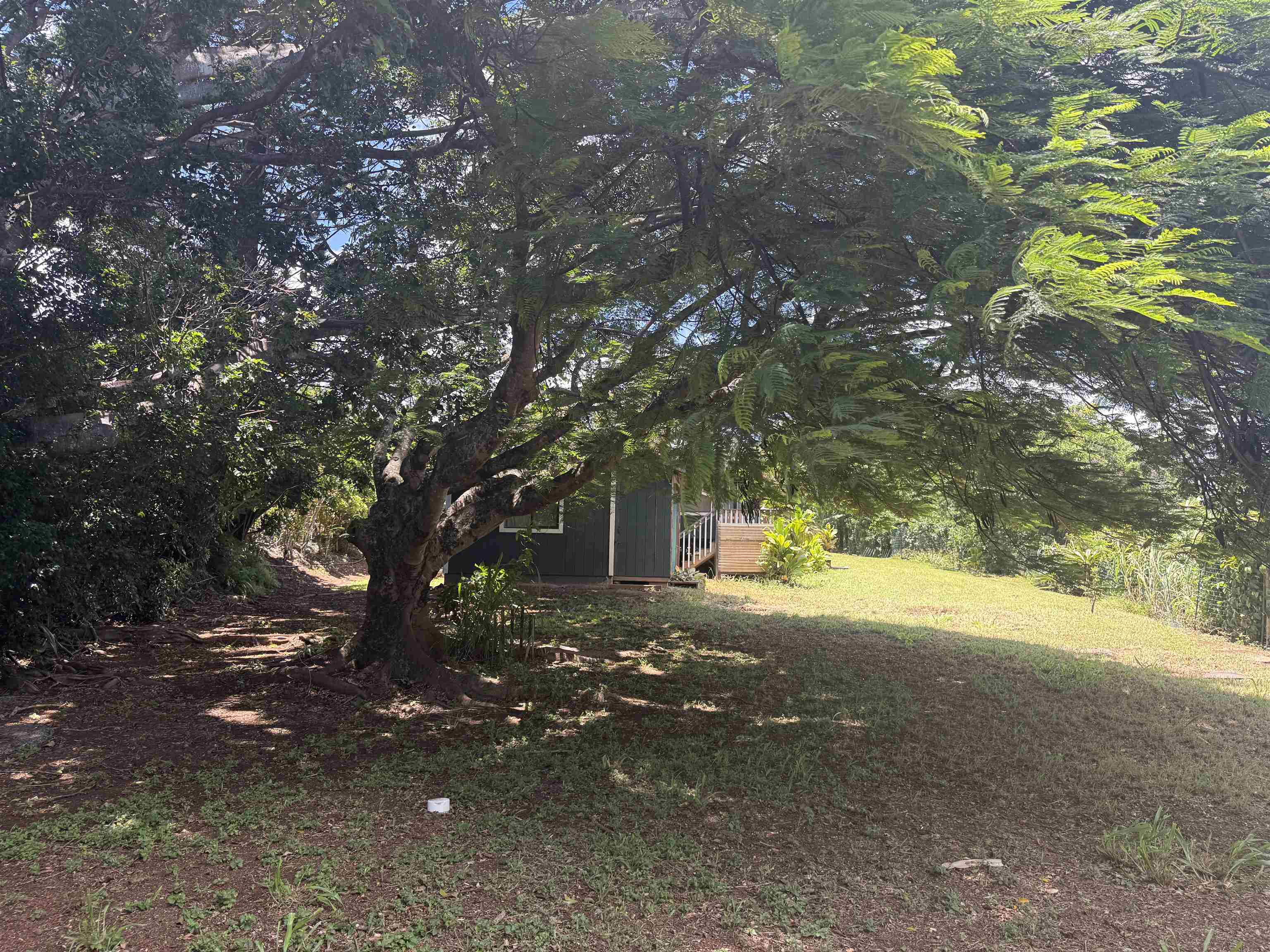 1490 Kokomo Road Haiku, HI 96708 - Photo 19 of 19