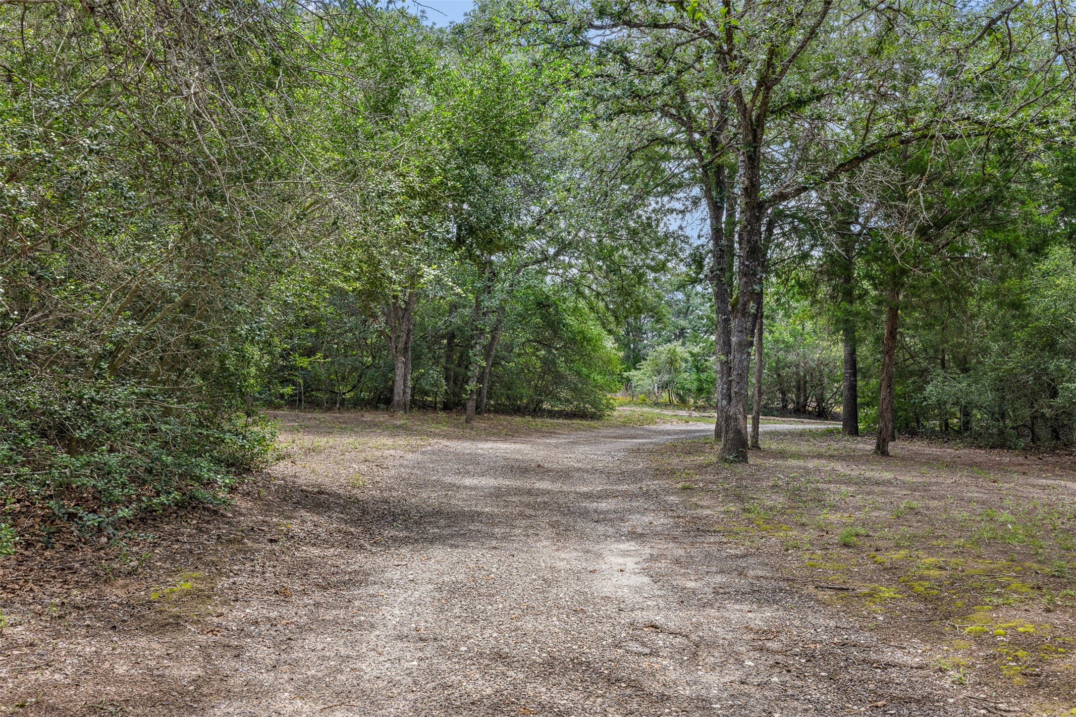 266 Jeddo Road Rosanky, TX 78953 - Photo 19 of 20