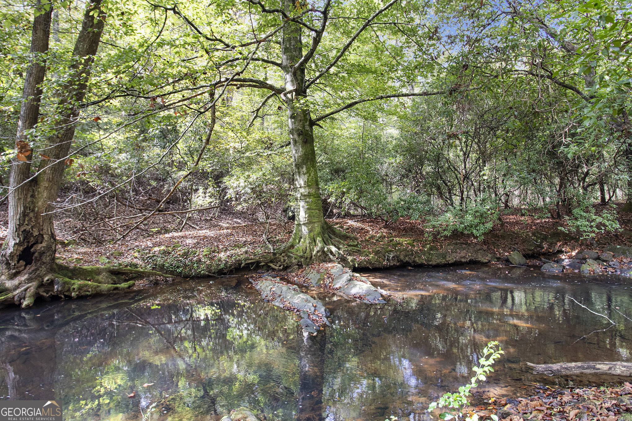 262 Jackson Shoals Road Franklin, GA 30217 - Photo 38 of 50