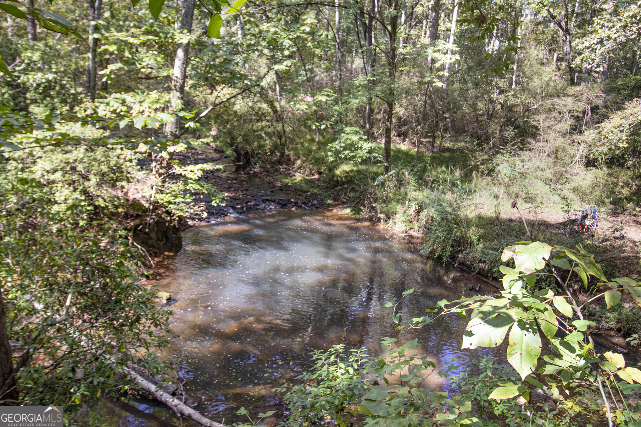 262 Jackson Shoals Road Franklin, GA 30217 - Photo 40 of 50