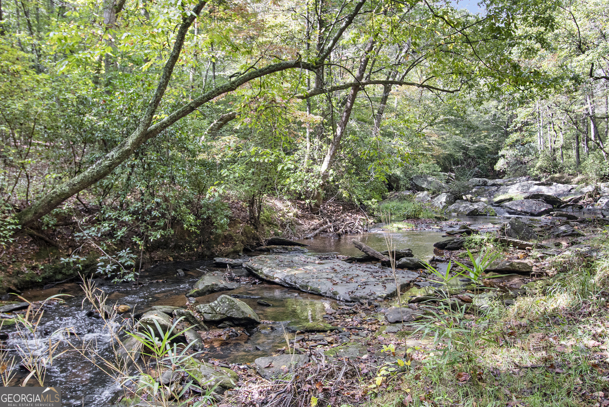 262 Jackson Shoals Road Franklin, GA 30217 - Photo 41 of 50