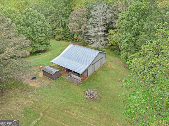 a view of a yard with plants and large trees