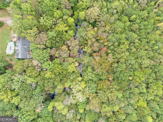 a view of a garden with a tree