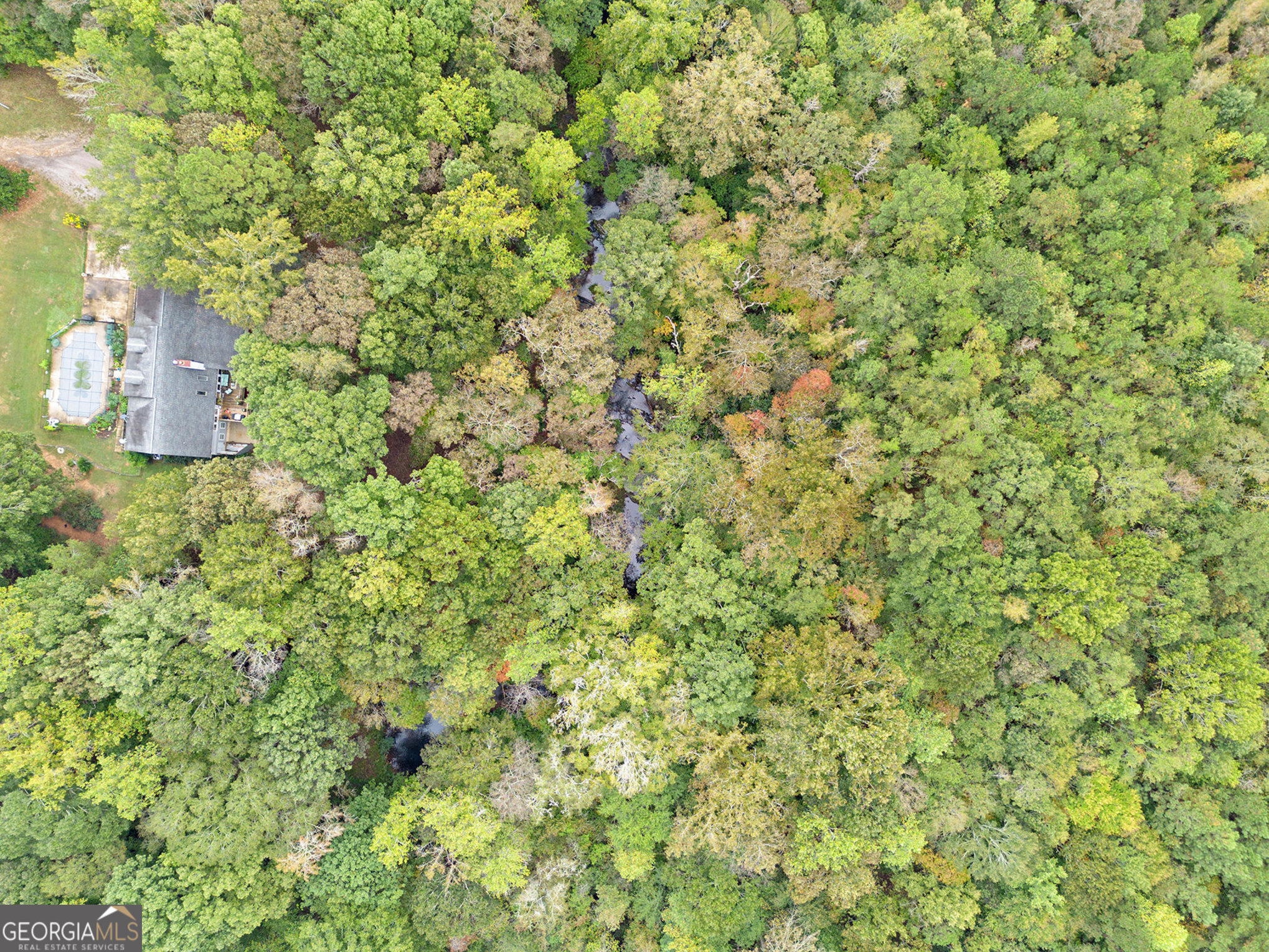 262 Jackson Shoals Road Franklin, GA 30217 - Photo 46 of 50