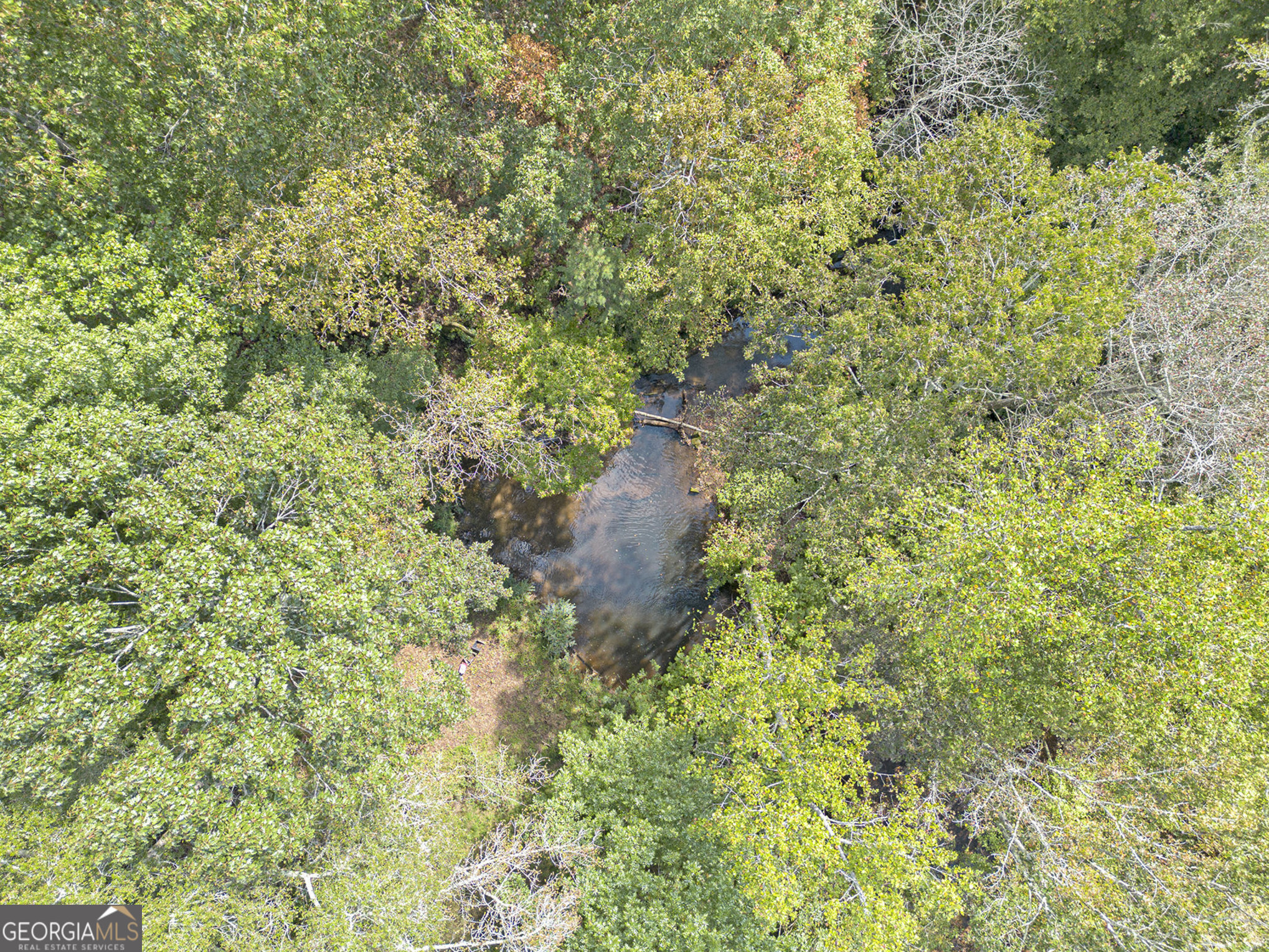 262 Jackson Shoals Road Franklin, GA 30217 - Photo 48 of 50