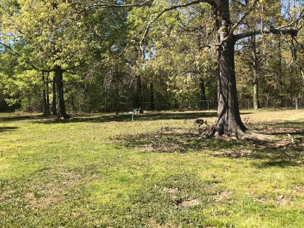 12661 Mill Pond Road Deville, LA 71328 - Photo 4 of 17