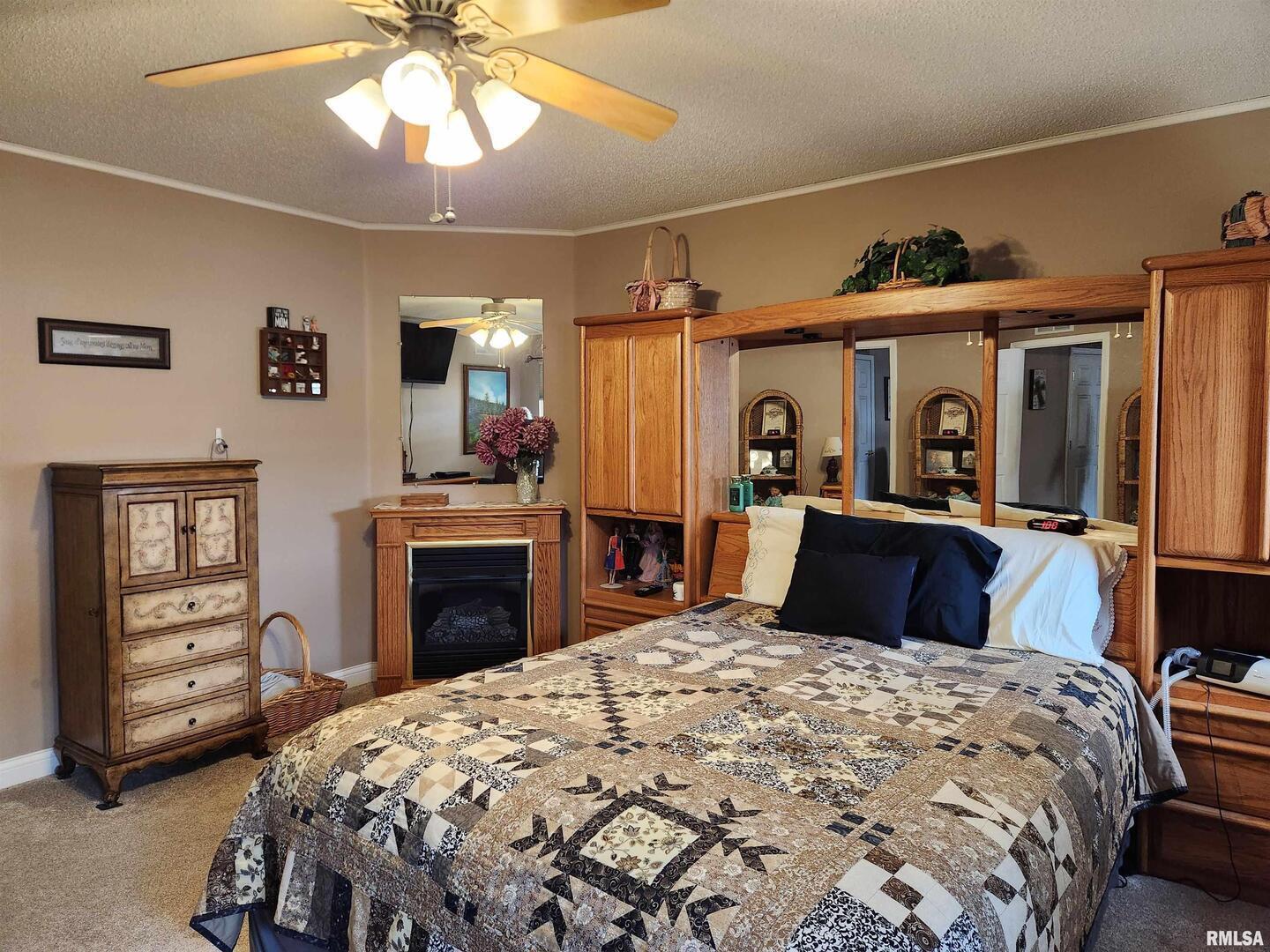 15766 East Tilton Road Ina, IL 62846 - Photo 10 of 50