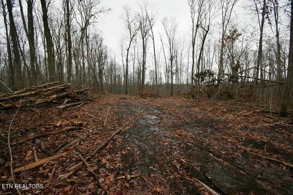 3358 Plateau Road Crossville, TN 38571 - Photo 17 of 27 3358 Plateau Rd pdf-18