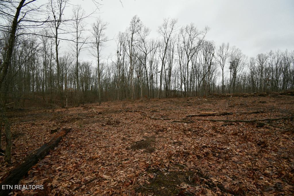 3358 Plateau Road Crossville, TN 38571 - Photo 18 of 27 3358 Plateau Rd pdf-17