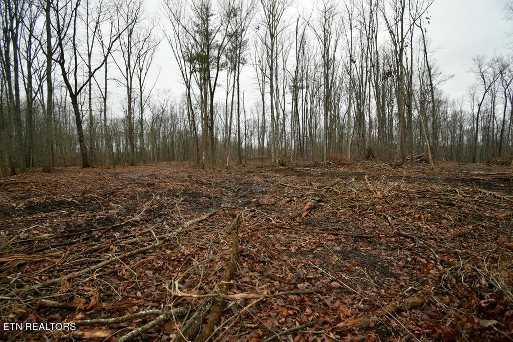 3358 Plateau Road Crossville, TN 38571 - Photo 19 of 27 3358 Plateau Rd pdf-16