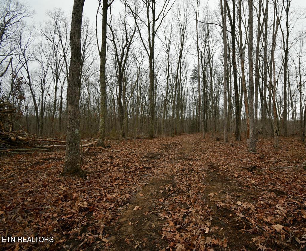 3358 Plateau Road Crossville, TN 38571 - Photo 20 of 27 3358 Plateau Rd pdf-15