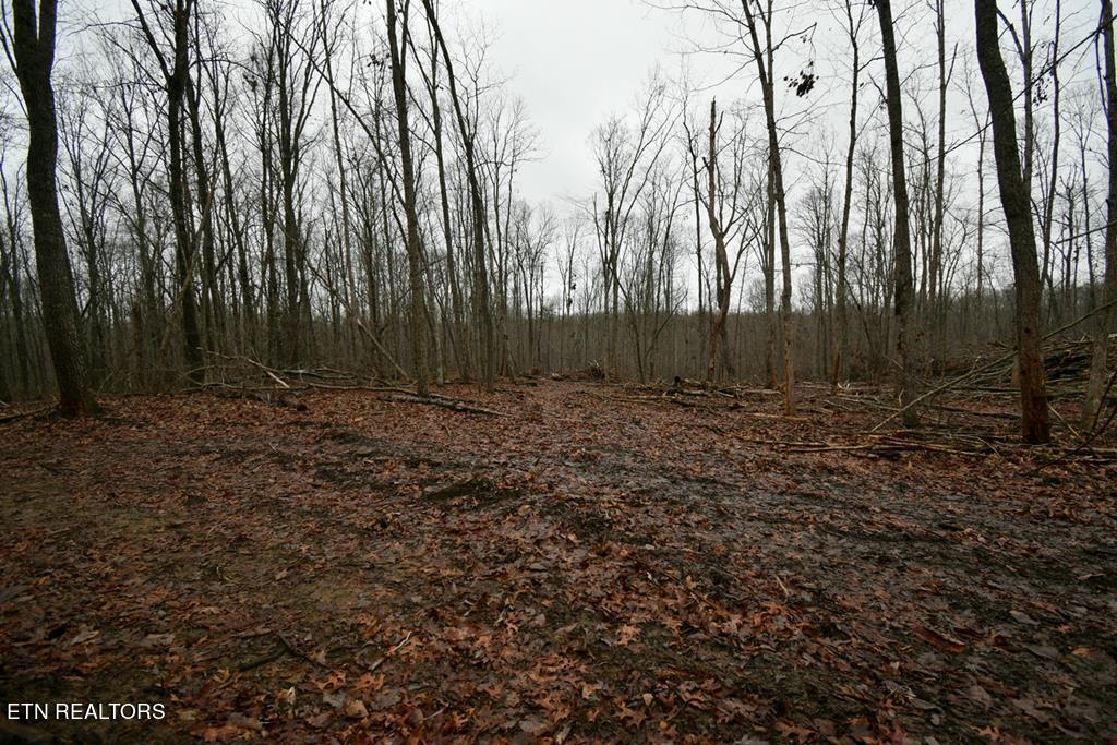 3358 Plateau Road Crossville, TN 38571 - Photo 10 of 27 3358 Plateau Rd pdf-12