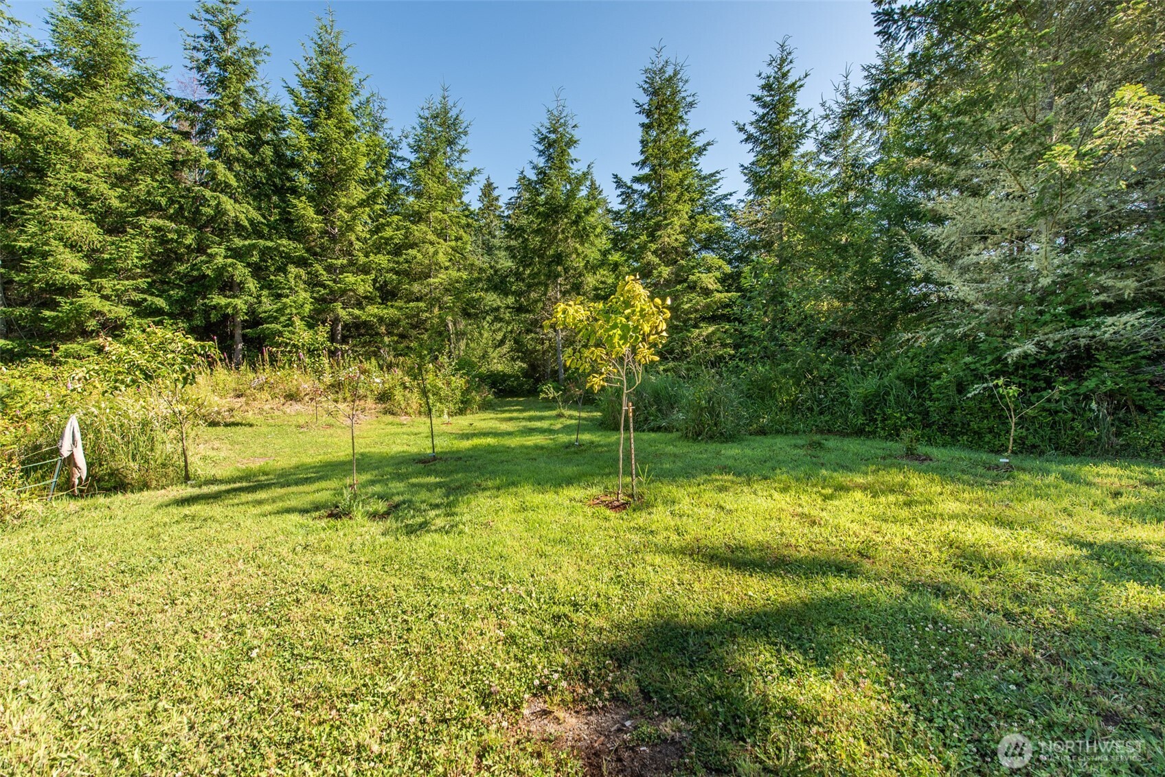 1833 Eaglemount Road Port Townsend, WA 98368 - Photo 31 of 40