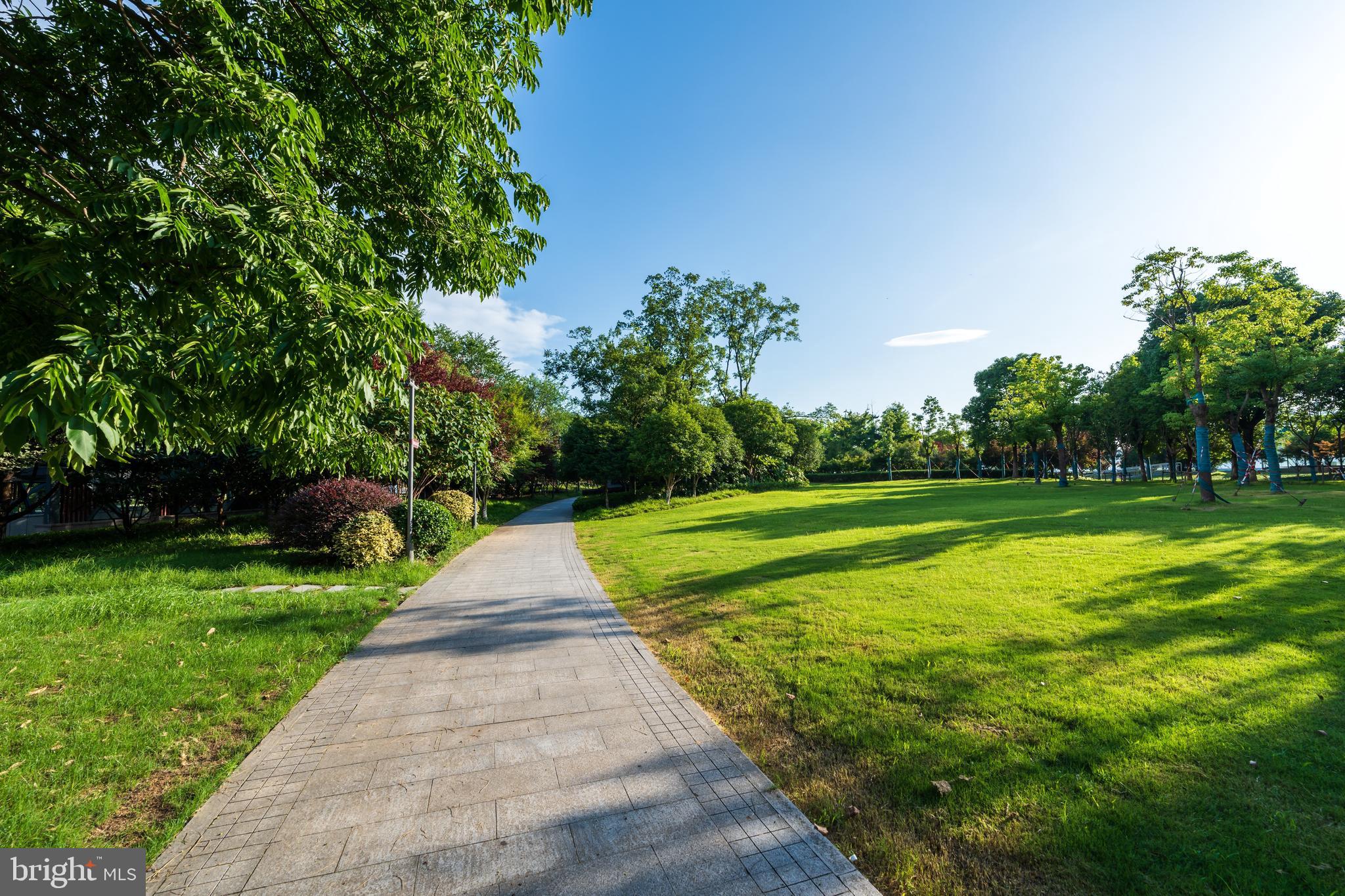 44480 Lowestoft Square Ashburn, VA 20147 - Photo 41 of 44 a view of park with large trees