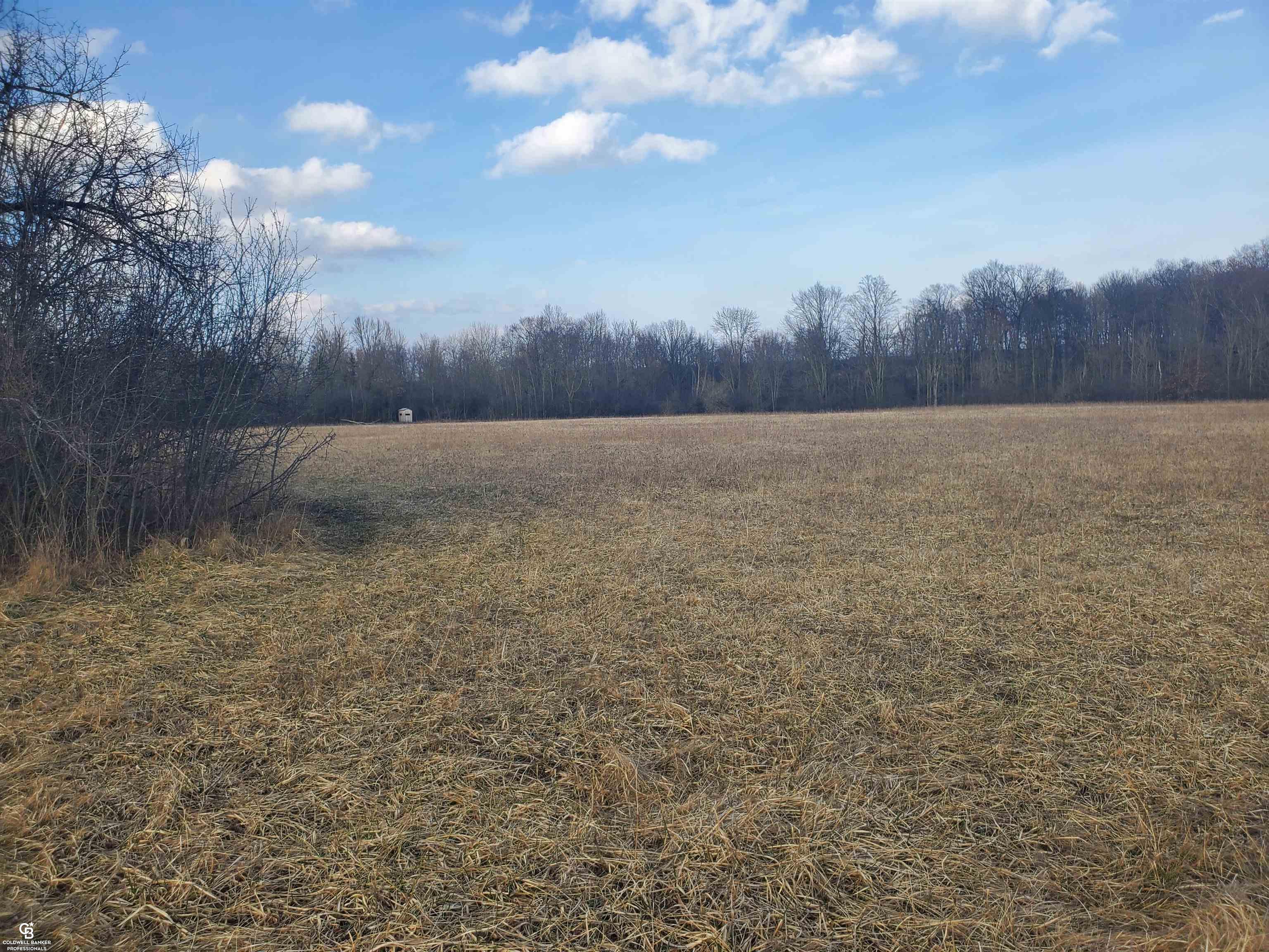 8198 Jordan Road Yale, MI 48097 - Photo 26 of 29