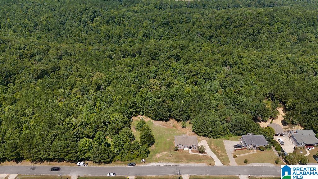177 Hidden Ridge Drive Odenville, AL 35120 - Photo 36 of 38