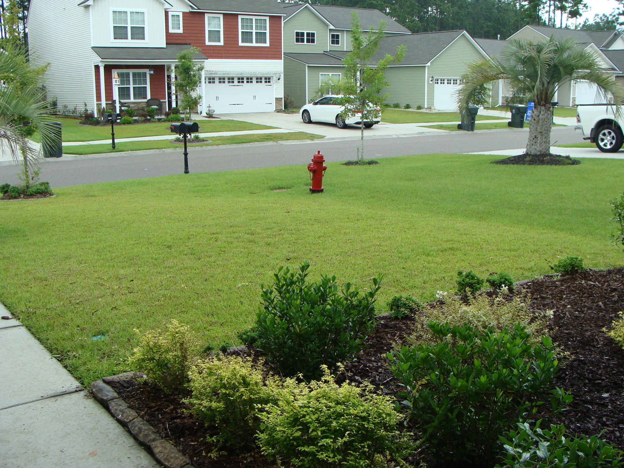267 Decatur Drive Summerville, SC 29486 - Photo 12 of 22 Seen from the front door