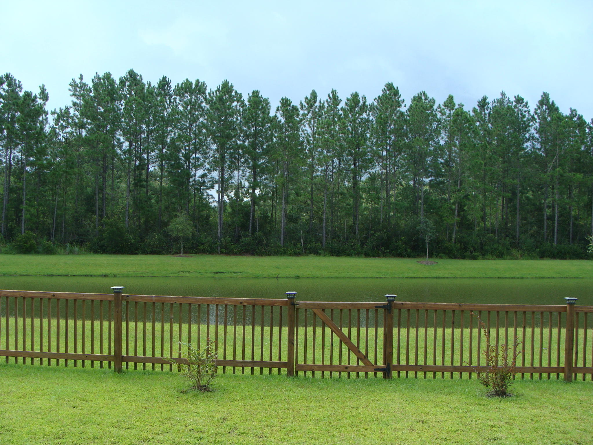 267 Decatur Drive Summerville, SC 29486 - Photo 20 of 22 Pond & Back Yard