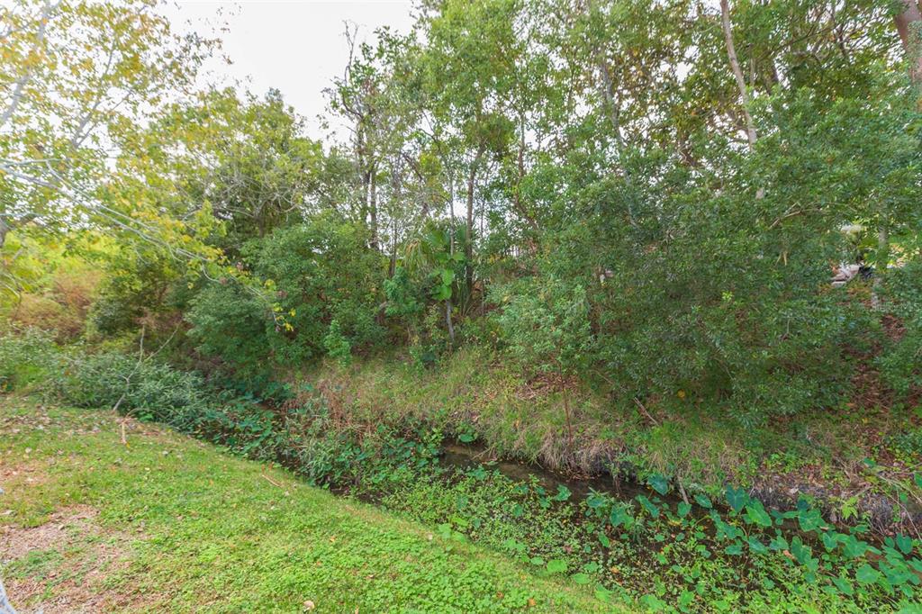 7906 Cherrytree Lane New Port Richey, FL 34653 - Photo 20 of 22