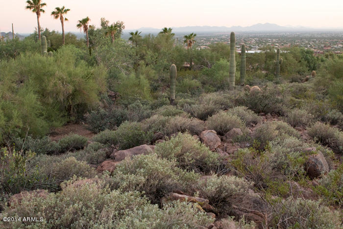 0 North Holmes Road, Unit 1 Apache Junction, AZ 85119 - Photo 29 of 35 IMG_1273