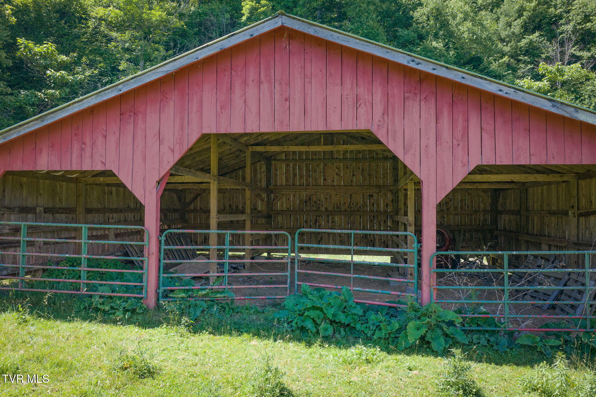 120 Teaberry Road Roan Mountain, TN 37687 - Photo 31 of 56 30-web-or-mls-DJI_20260612112603_0275_D