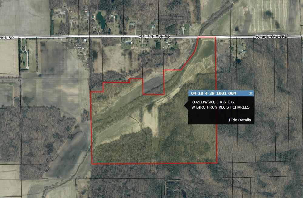 0 West Birch Run Road St. Charles, MI 48655 - Photo 15 of 20