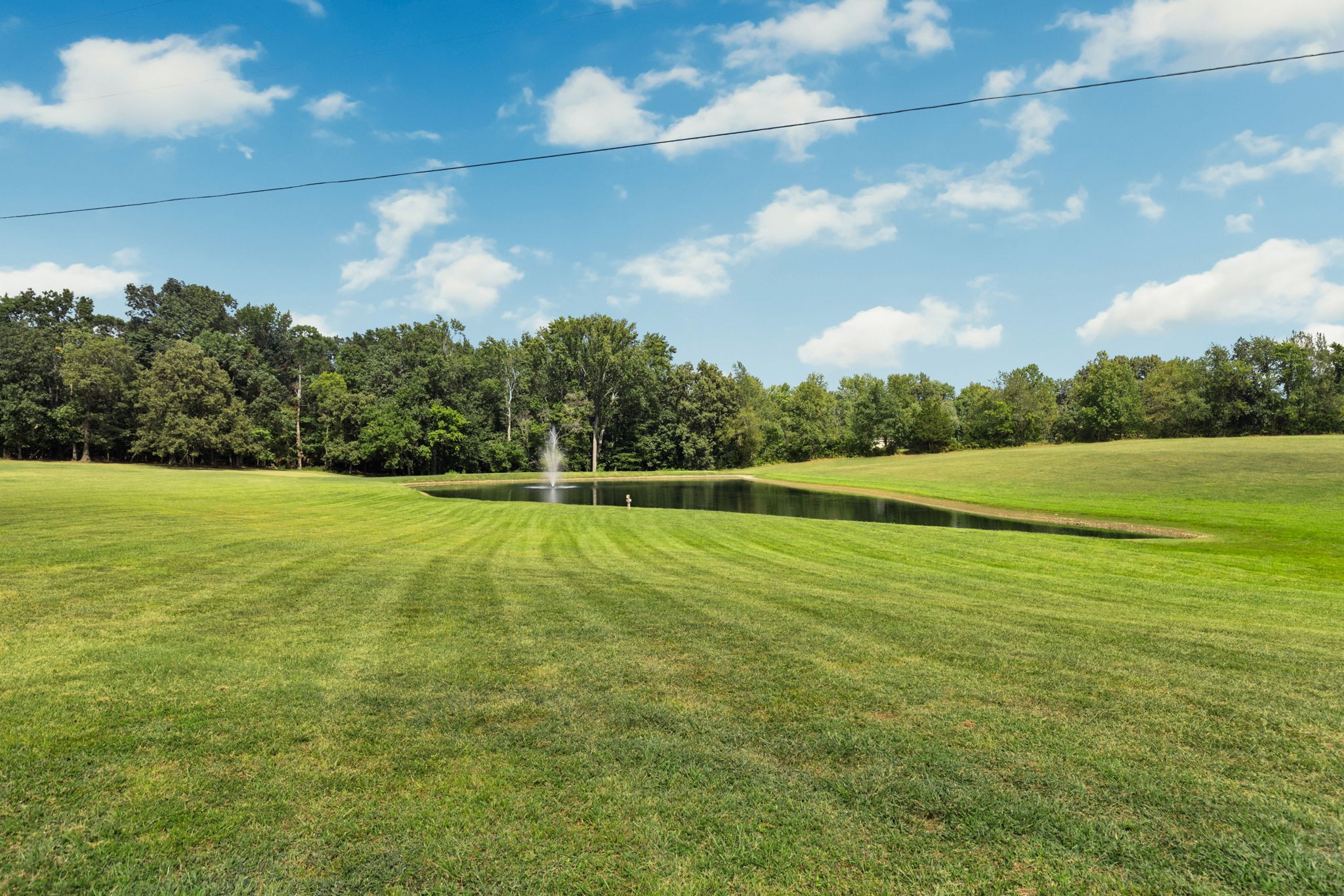 5651 Flewellyn Road Springfield, TN 37172 - Photo 47 of 55 a view of a green yard