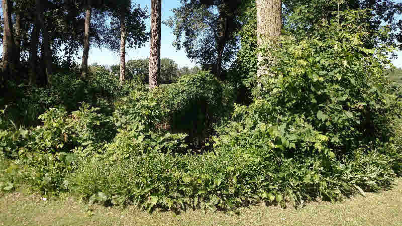 925 Kaiser Tower Road Linwood, MI 48634 - Photo 10 of 10
