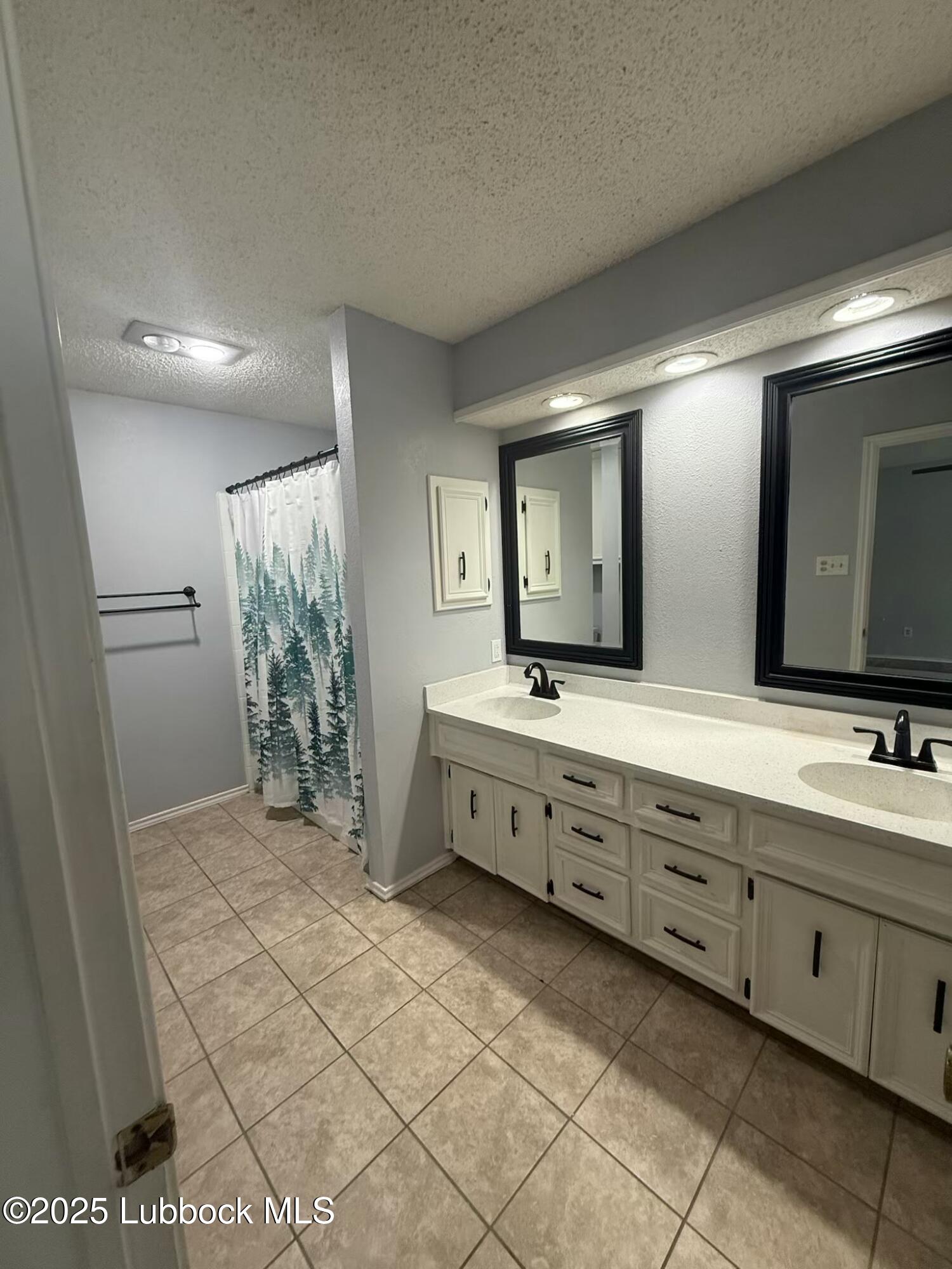 3506 97th Street Lubbock, TX 79423 - Photo 22 of 34 tempImagejvbVlQ