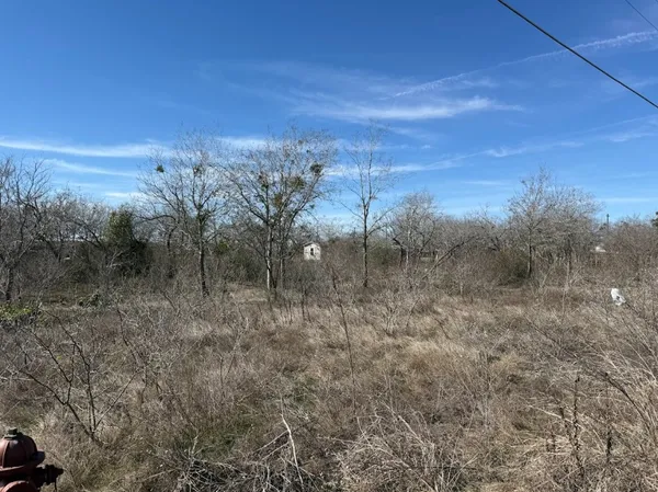 a view of a dry yard with trees