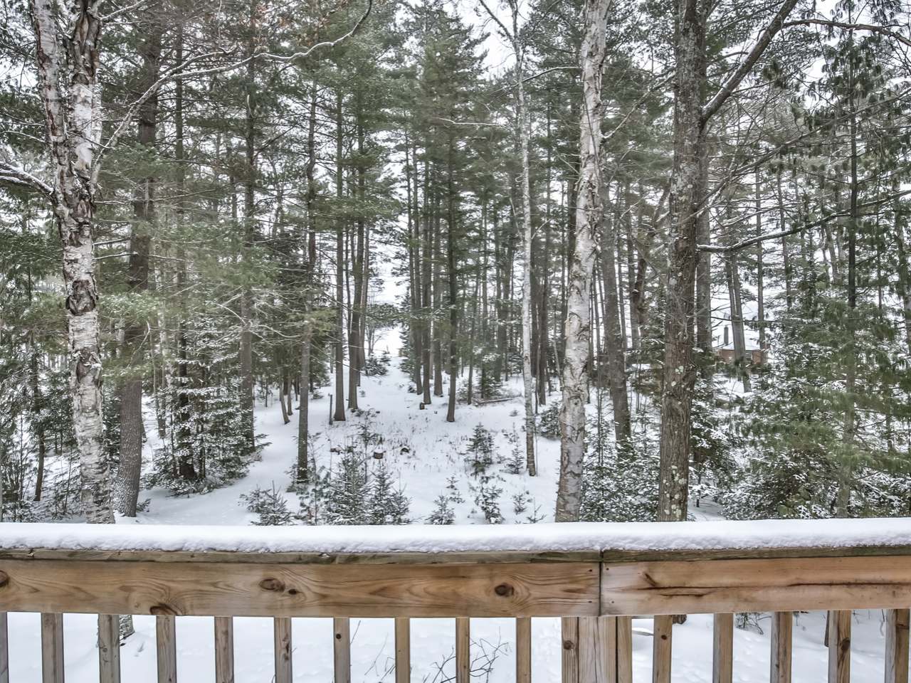 3607 Town Line Road Eagle River, WI 54521 - Photo 20 of 29 Gallery Image 20