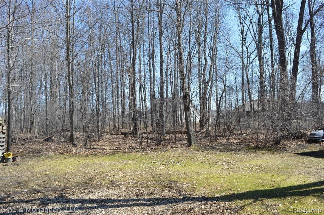 9535 Rachel Road Algonac, MI 48001 - Photo 9 of 27 031.JPG