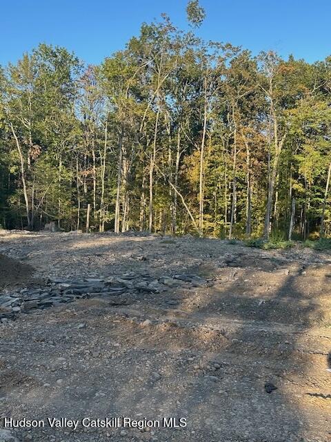 59 Olivers Way Cairo, NY 12413 - Photo 1 of 7 a view of outdoor space with deck and tree