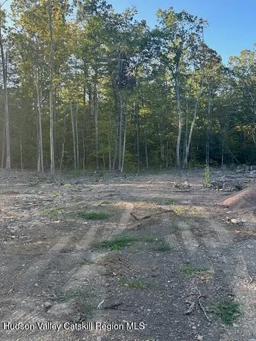 a view of a yard with trees