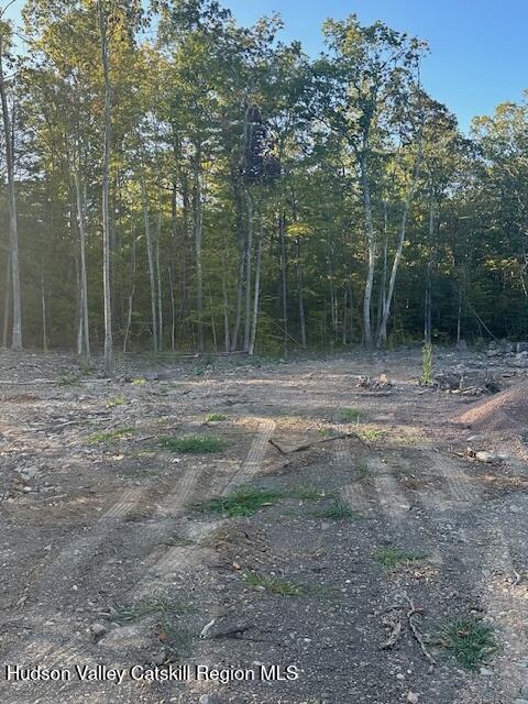 59 Olivers Way Cairo, NY 12413 - Photo 2 of 7 a view of a yard with trees