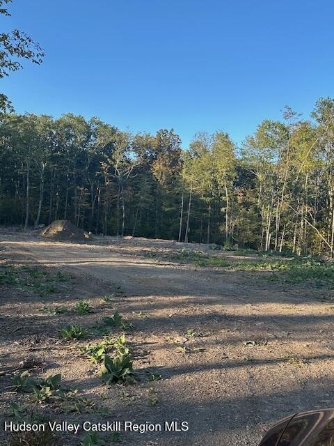59 Olivers Way Cairo, NY 12413 - Photo 3 of 7 a view of a yard