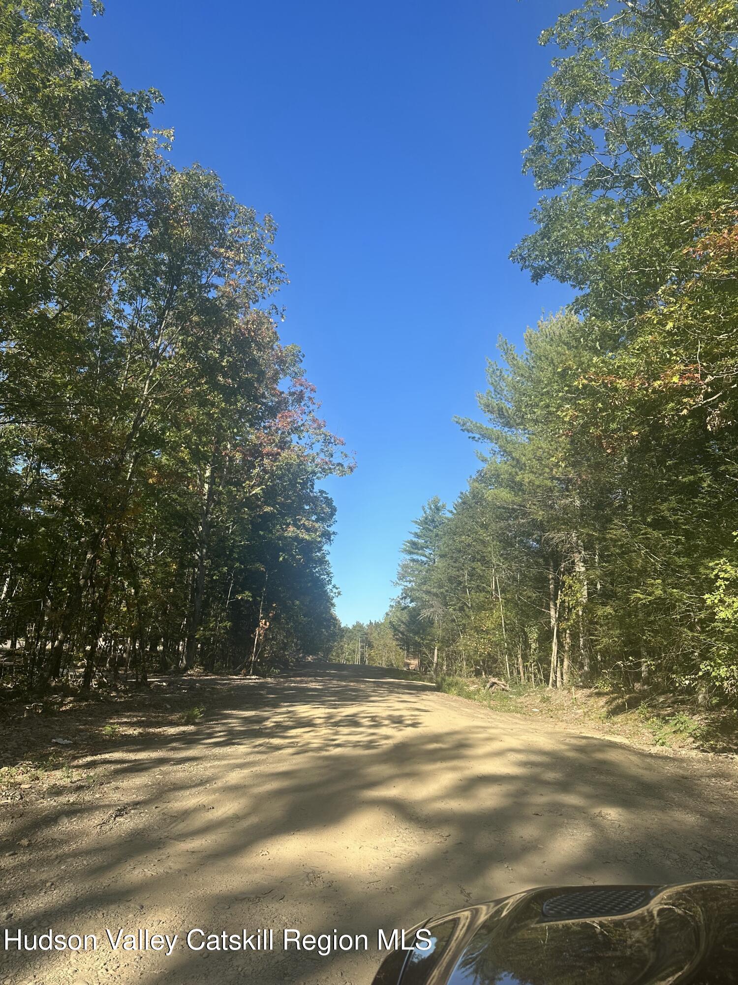 59 Olivers Way Cairo, NY 12413 - Photo 4 of 7 a view of a yard with a tree