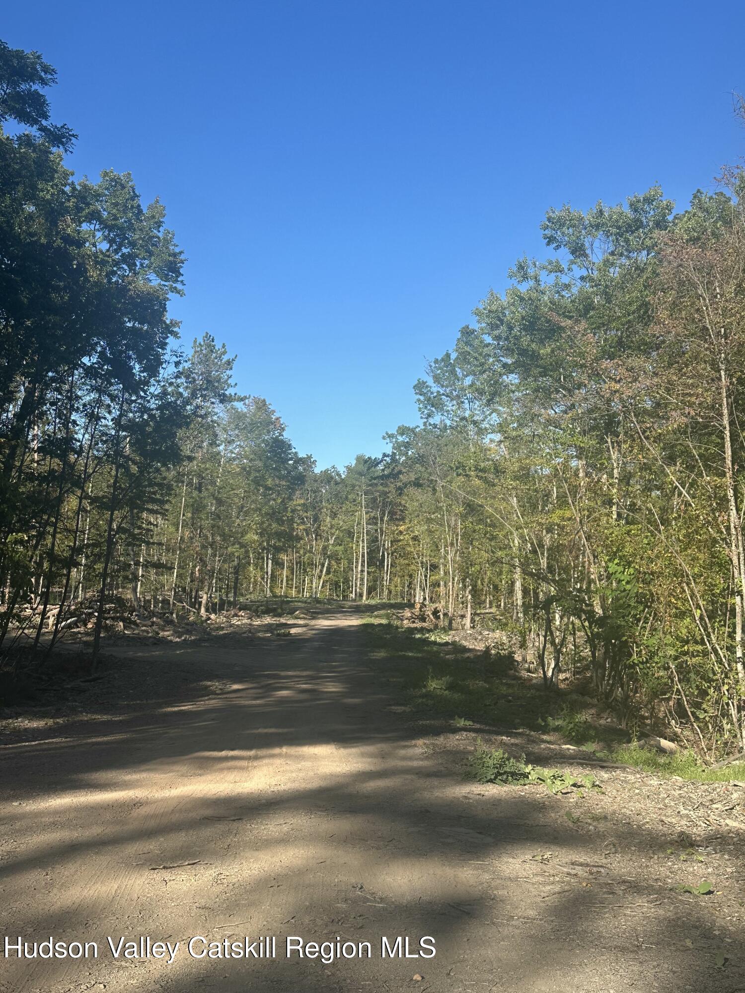 59 Olivers Way Cairo, NY 12413 - Photo 5 of 7 a view of a yard