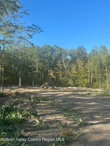 a view of a book shelf