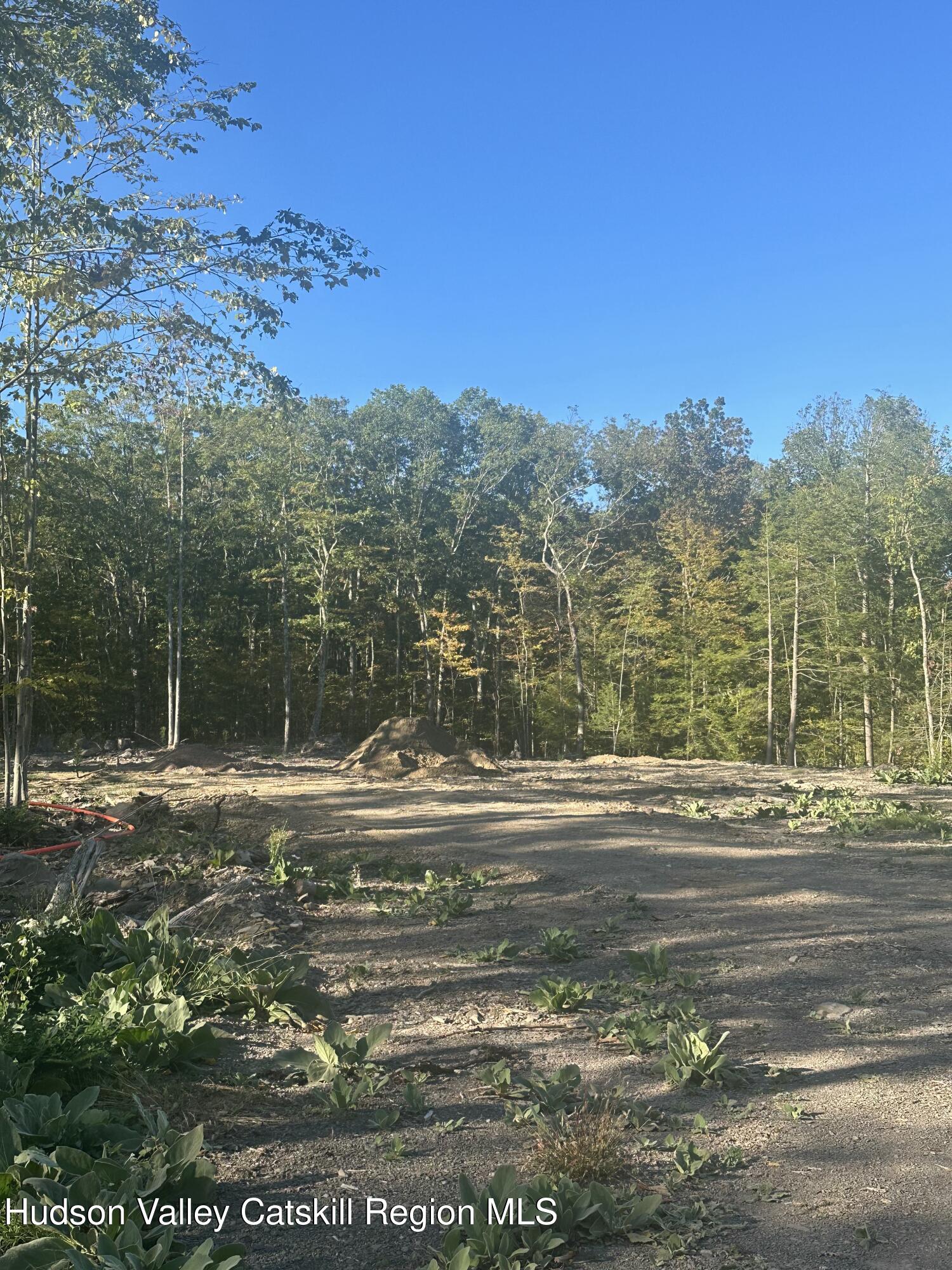 59 Olivers Way Cairo, NY 12413 - Photo 6 of 7