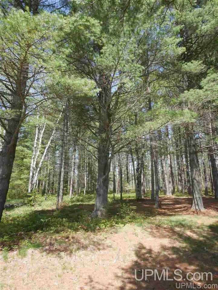33985 Rice Landing Rd Lake Lake Linden, MI 49945 - Photo 24 of 30