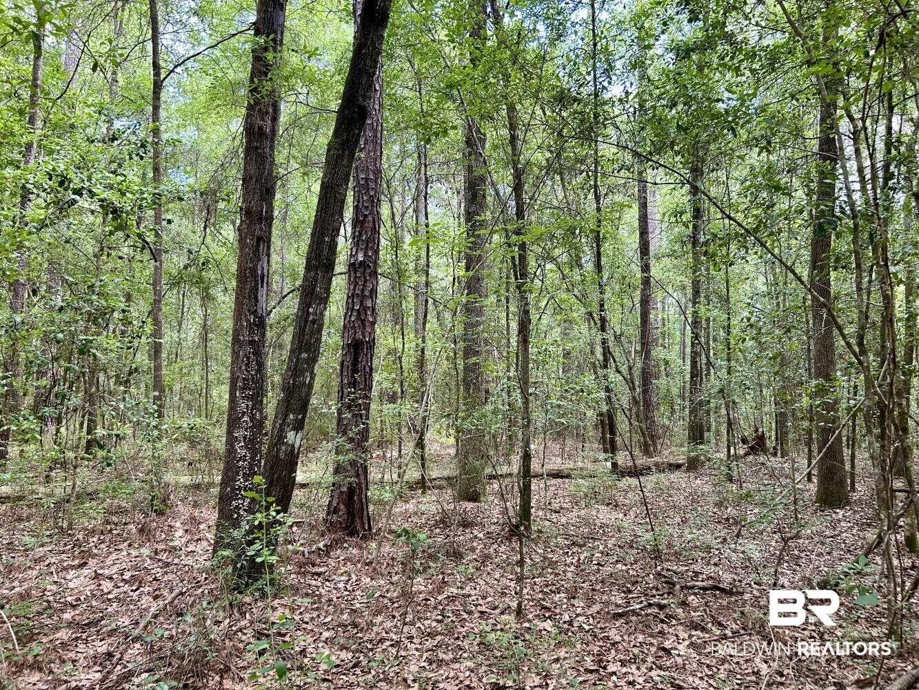 0 Thompson Road Stockton, AL 36579 - Photo 11 of 15