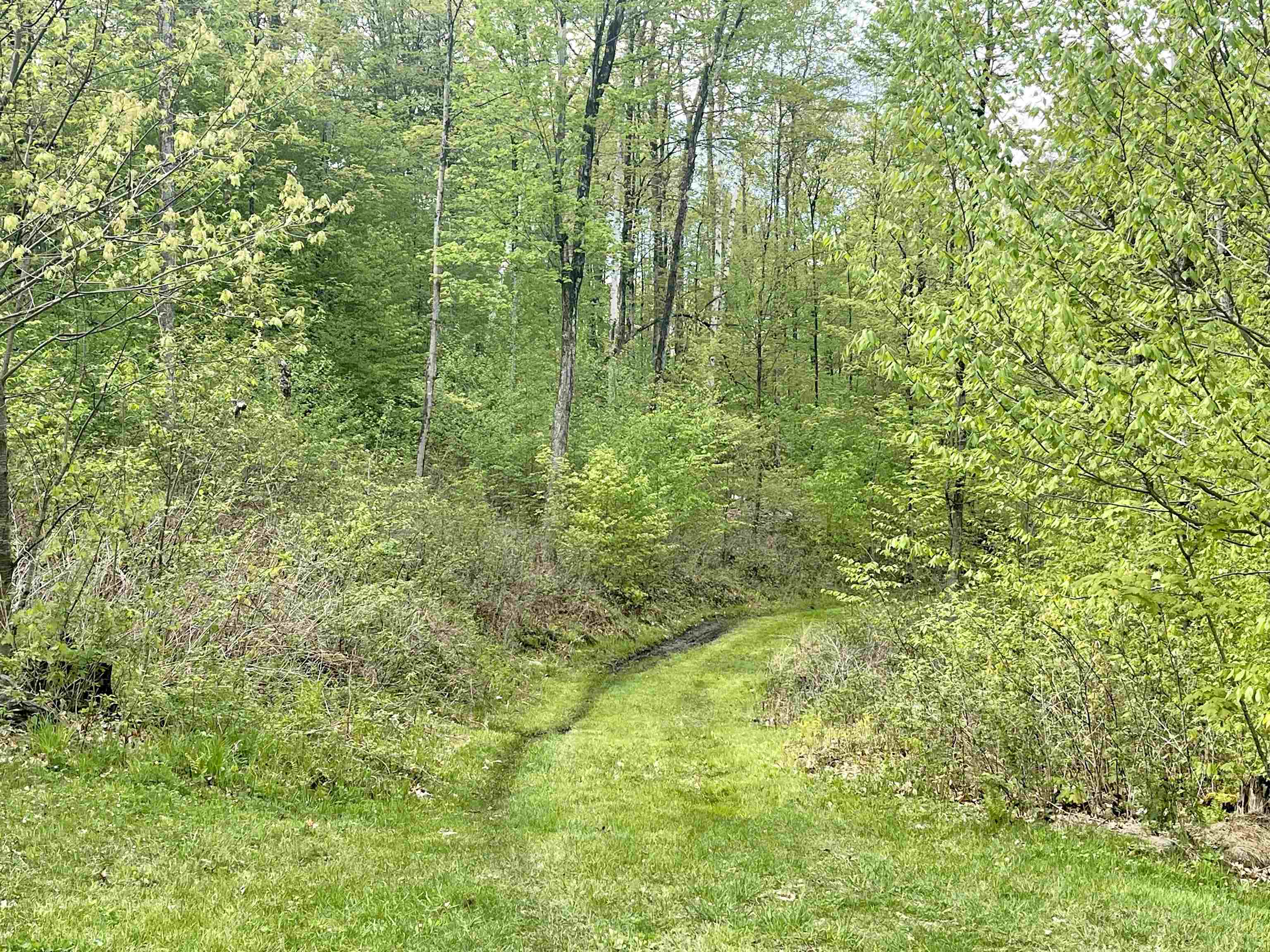 991 Old Post Road Bradford, VT 05033 - Photo 11 of 13