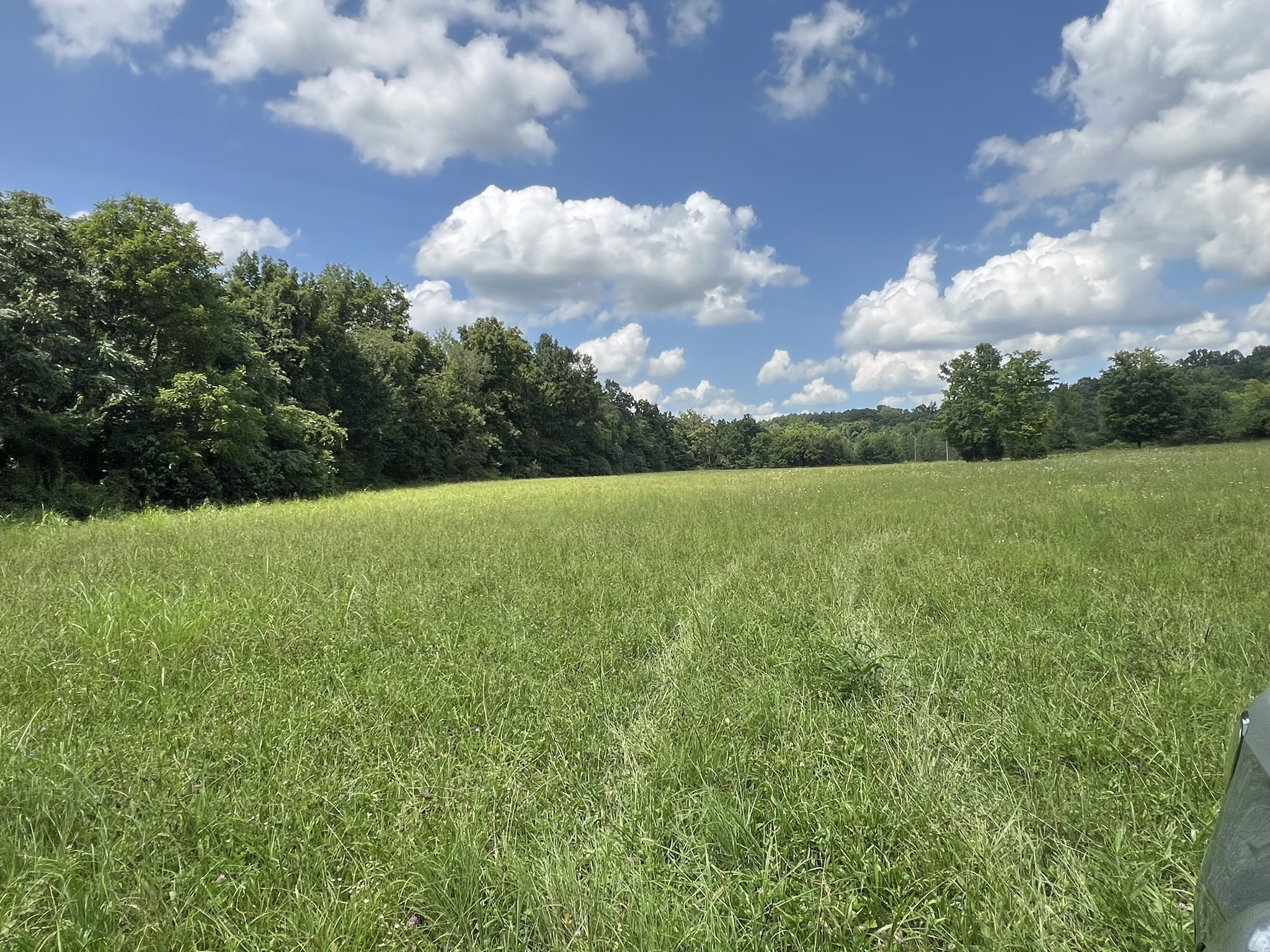 0 Martin Road Portland, TN 37148 - Photo 14 of 26 Gallery Image 14
