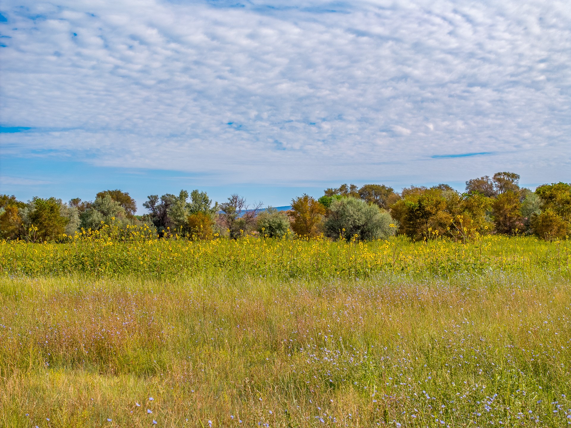 12 Sparkling Moolah Road Pena Blanca, NM 87041 - Photo 24 of 24