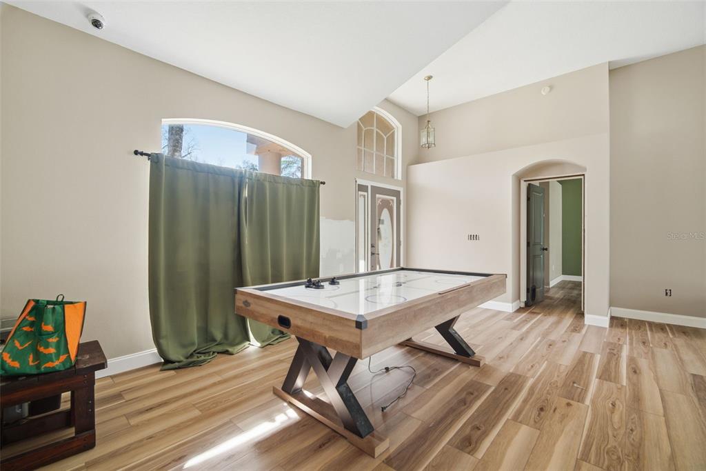28427 Openfield Loop Wesley Chapel, FL 33543 - Photo 4 of 60 Gallery Image 4