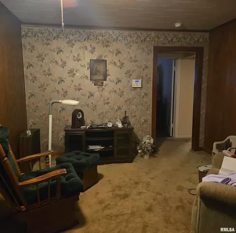 $65,000 | 1317 West Cherry Street, Herrin, IL 62948